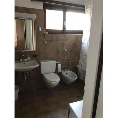 Casa Chimp 4