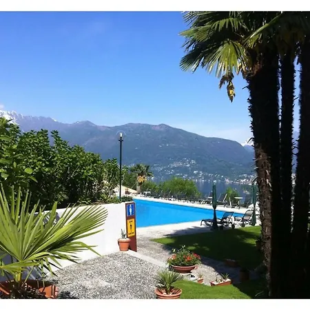 Casa Chimp 4 *